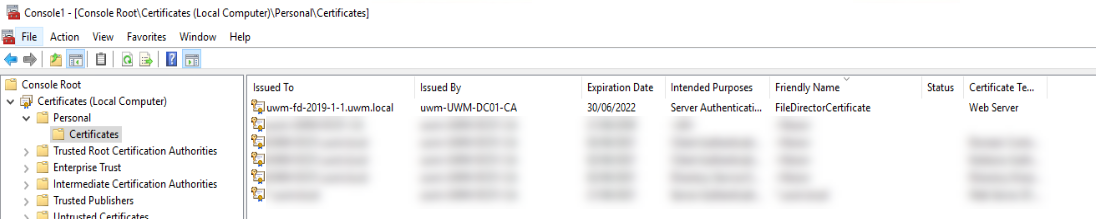 File Director SAN Certificates