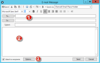 Email Message Window