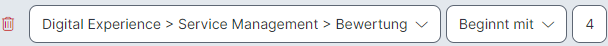 Beispiel für erweiterten Filter
