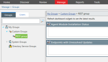 The newly created group in the Endpoint Security Console, under Custom Groups