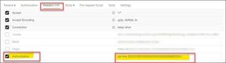 Authorisation API Key in Headers section in Postman