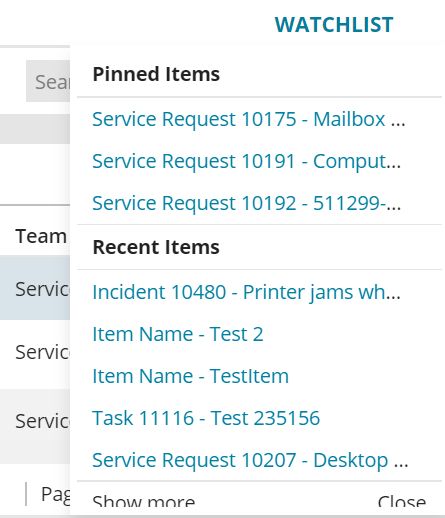 List of pinned and recently used items in a watchlist