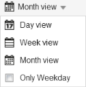 Project Calendar options