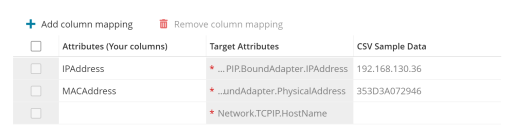 Column mapping options, showing how to map attributes in the CSV to attributes in Neurons