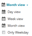 Project Calendar options