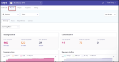 Snyk Data Export Guide