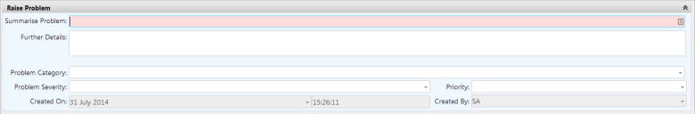 Raise Problem window