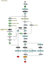 Process design