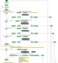 Process Design