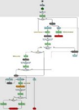 Process diagram