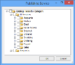 Publish to Service dialog