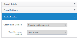 Create Budget page: Cost Allocation section