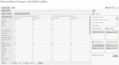 Reconciliation Compare pivot table page