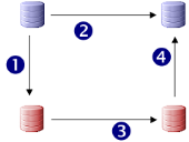 A llive database is connected (1) to a test database and (2) to another live database; the test database is connected (3) to another test database, which is then connected (4) to the second live database