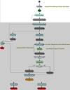 Diagramme de processus