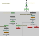 Diagramma di processo