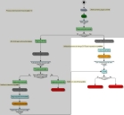 Diagramma di processo
