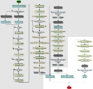 Diagramma di processo