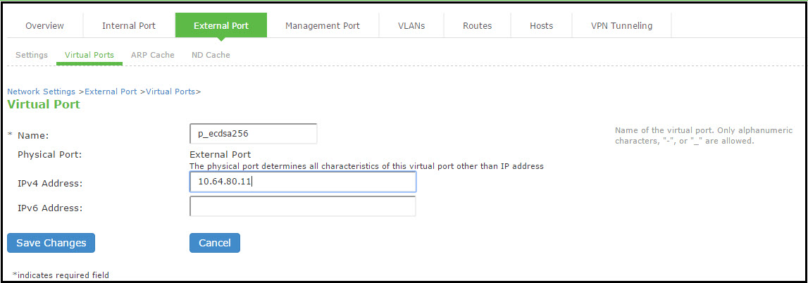 Creating the Virtual Port on the External Port
