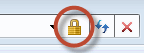 Viewing the Connection Certificate Information