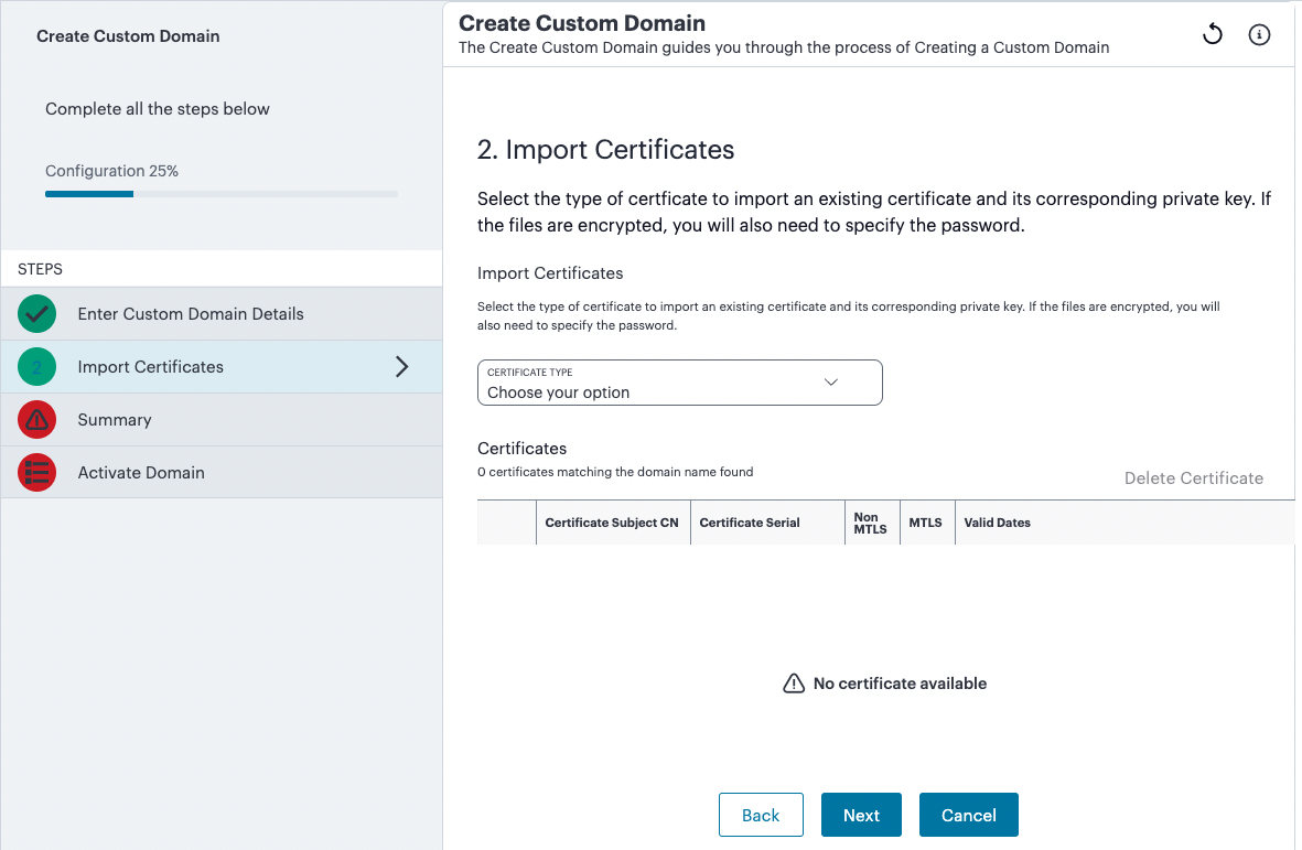 Using the Create Custom Domain workflow - step 2