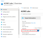 Location of the Tenant ID in the Azure portal left side menu, Overview.