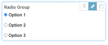 A radio element in a form with the Edit button highlighted